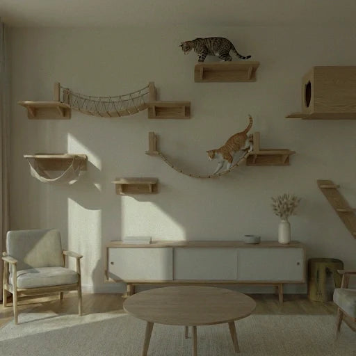 Arbres à Chat Muraux & Parcours