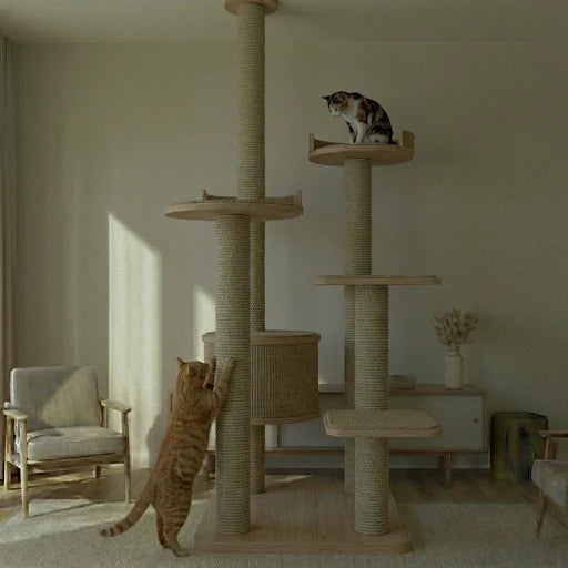 Arbres à chat XXL Image