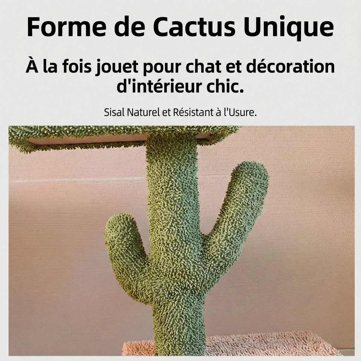 Arbre à Chat Cactus "Sky Pillar" - Fixation Plafond & Télescopique (242-275cm)