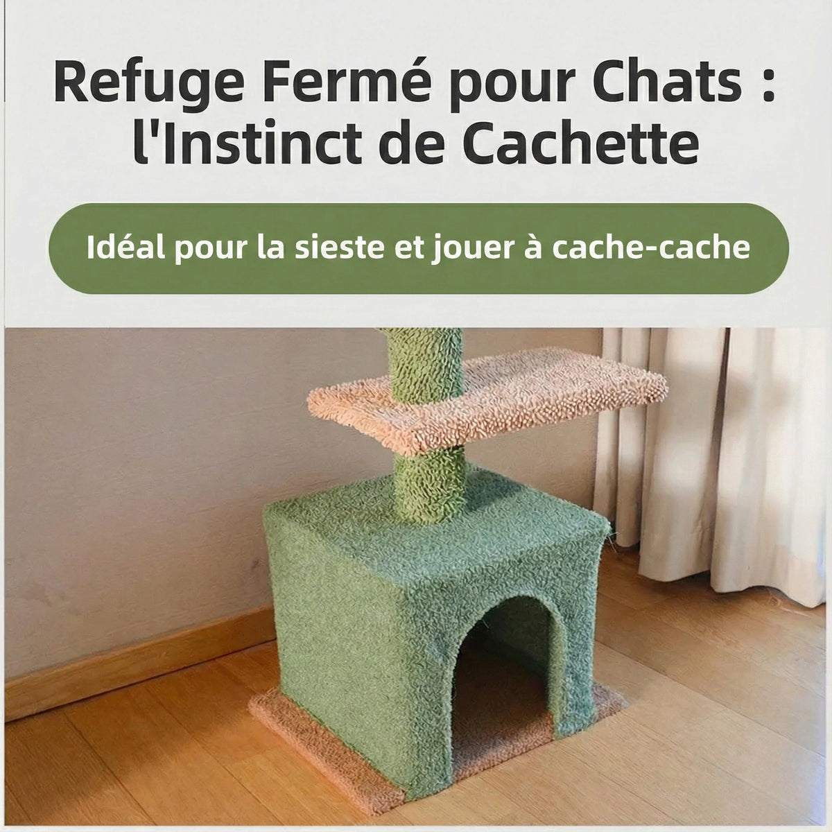 Arbre à Chat Cactus "Sky Pillar" - Fixation Plafond & Télescopique (242-275cm)