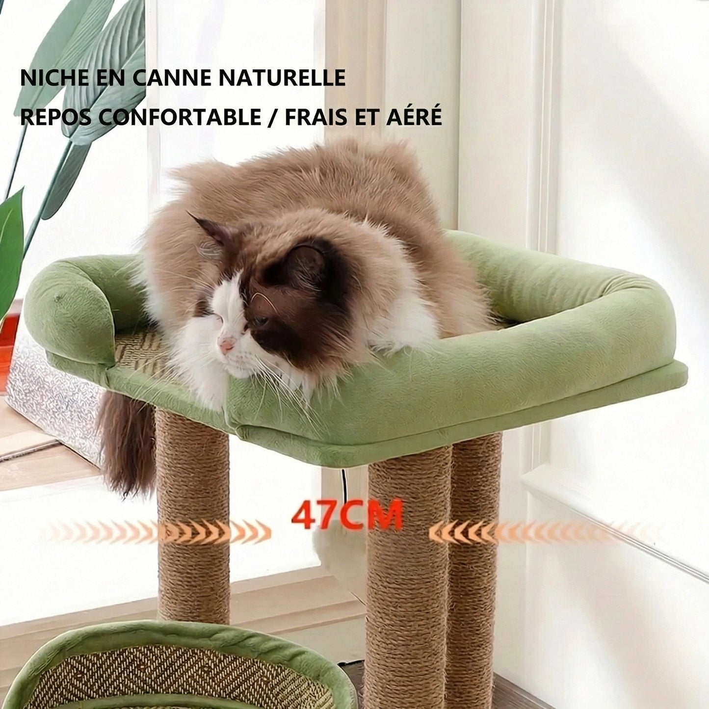 Arbre à Chat "Le Rafraîchissant" - Tissage Anti-Poils & Base 4 Piliers
