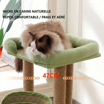 Arbre à Chat "Le Rafraîchissant" - Tissage Anti-Poils & Base 4 Piliers