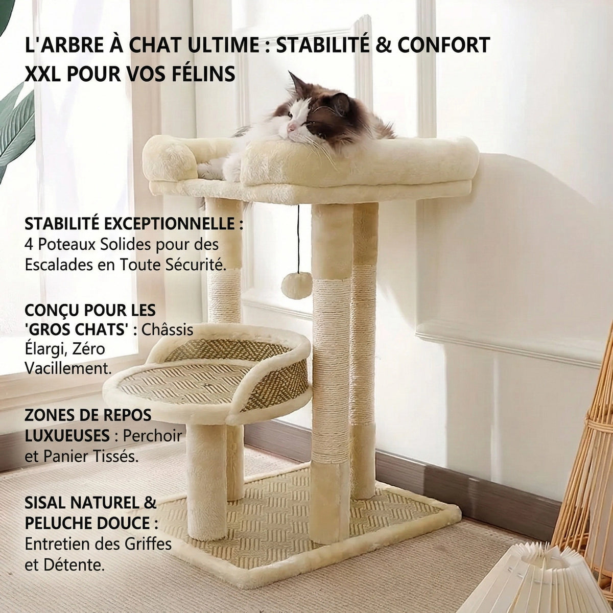 Arbre à Chat "Le Rafraîchissant" - Tissage Anti-Poils & Base 4 Piliers