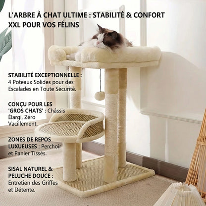 Arbre à Chat "Le Rafraîchissant" - Tissage Anti-Poils & Base 4 Piliers