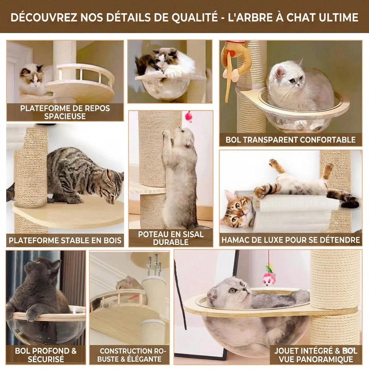 Arbre à Chat Plafond "Le Zénith" - Bois Massif & Fixation Triple Sécurité