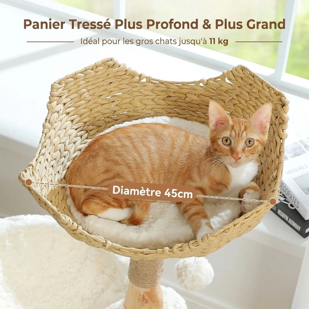 Arbre à Chat Bois & Rotin 102 cm "Le Naturaliste" - Tronc Véritable & Panier Tressé