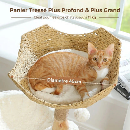 Arbre à Chat Bois & Rotin 102 cm "Le Naturaliste" - Tronc Véritable & Panier Tressé