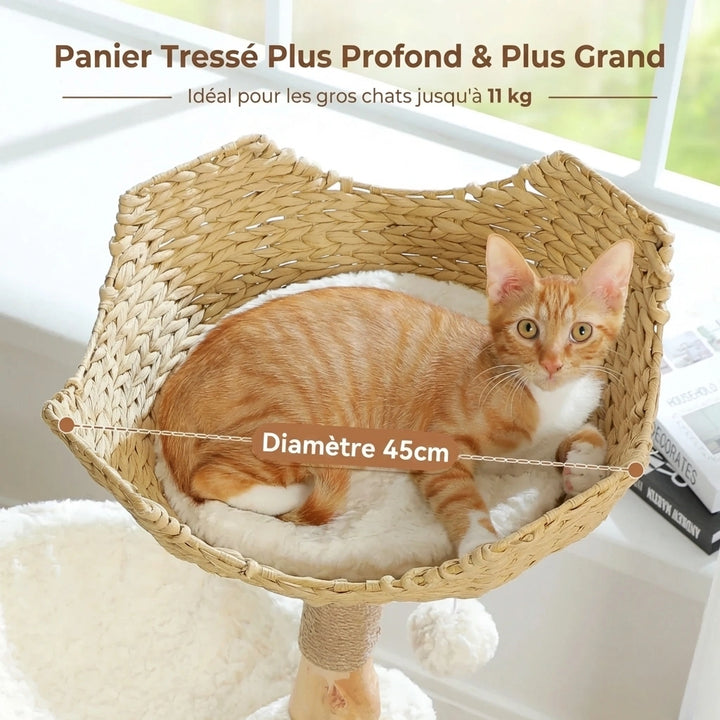 Arbre à Chat Bois & Rotin 102 cm "Le Naturaliste" - Tronc Véritable & Panier Tressé