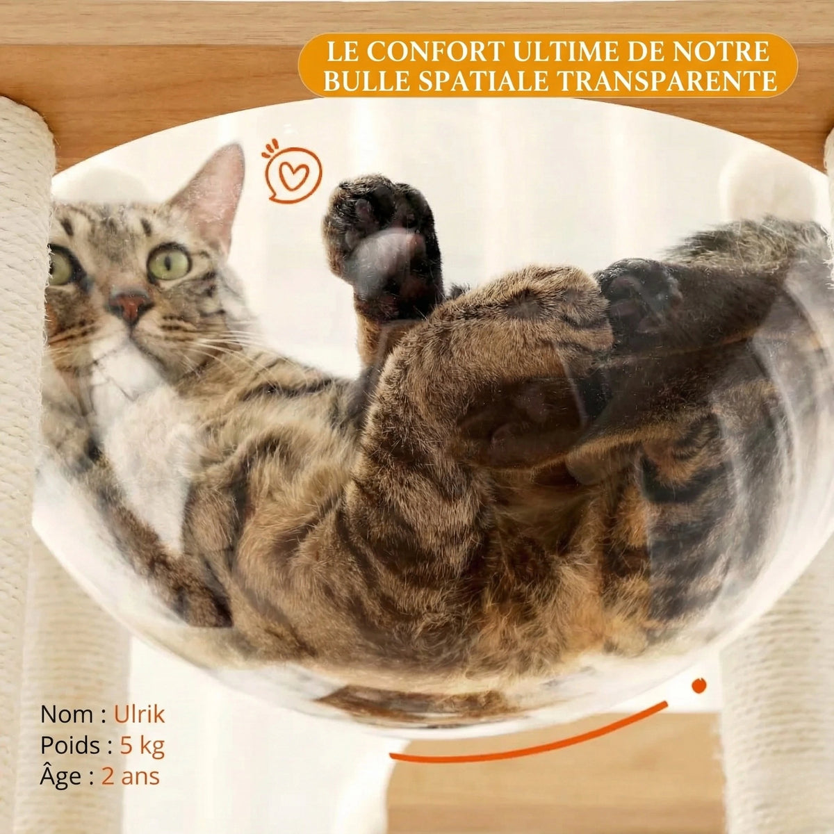 Arbre à Chat Bois Moderne "Le Château" 130 cm - Capsule Transparente & Coussins Lavables