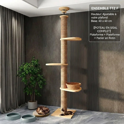 Arbre à Chat Plafond "Le Zénith" - Bois Massif & Fixation Triple Sécurité