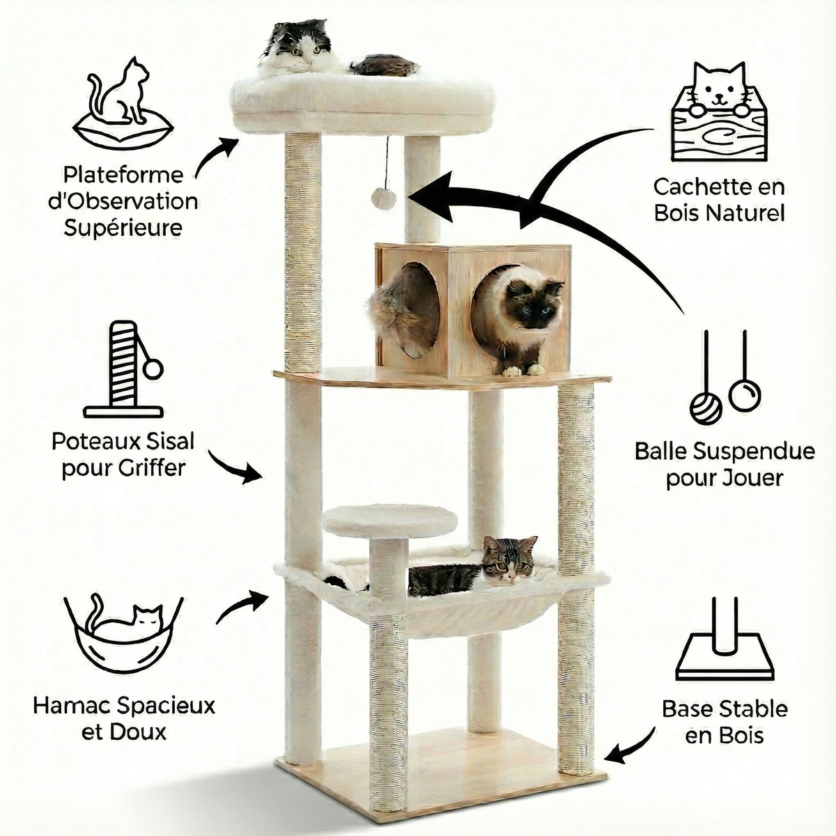 Arbre à Chat en Bois instruction