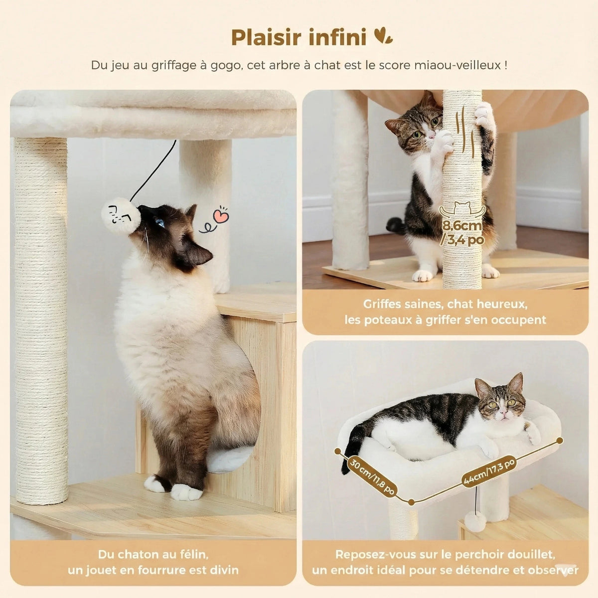 Arbre à Chat en Bois 143 cm - Coussins Lavables, Niche Cube & Sisal