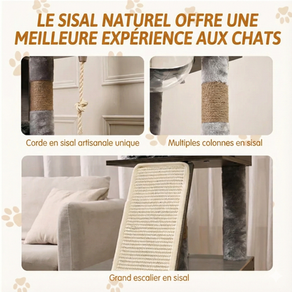 Meuble Arbre à Chat 170 cm avec Cache-Litière Intégré - Bois, Capsule & Rangement
