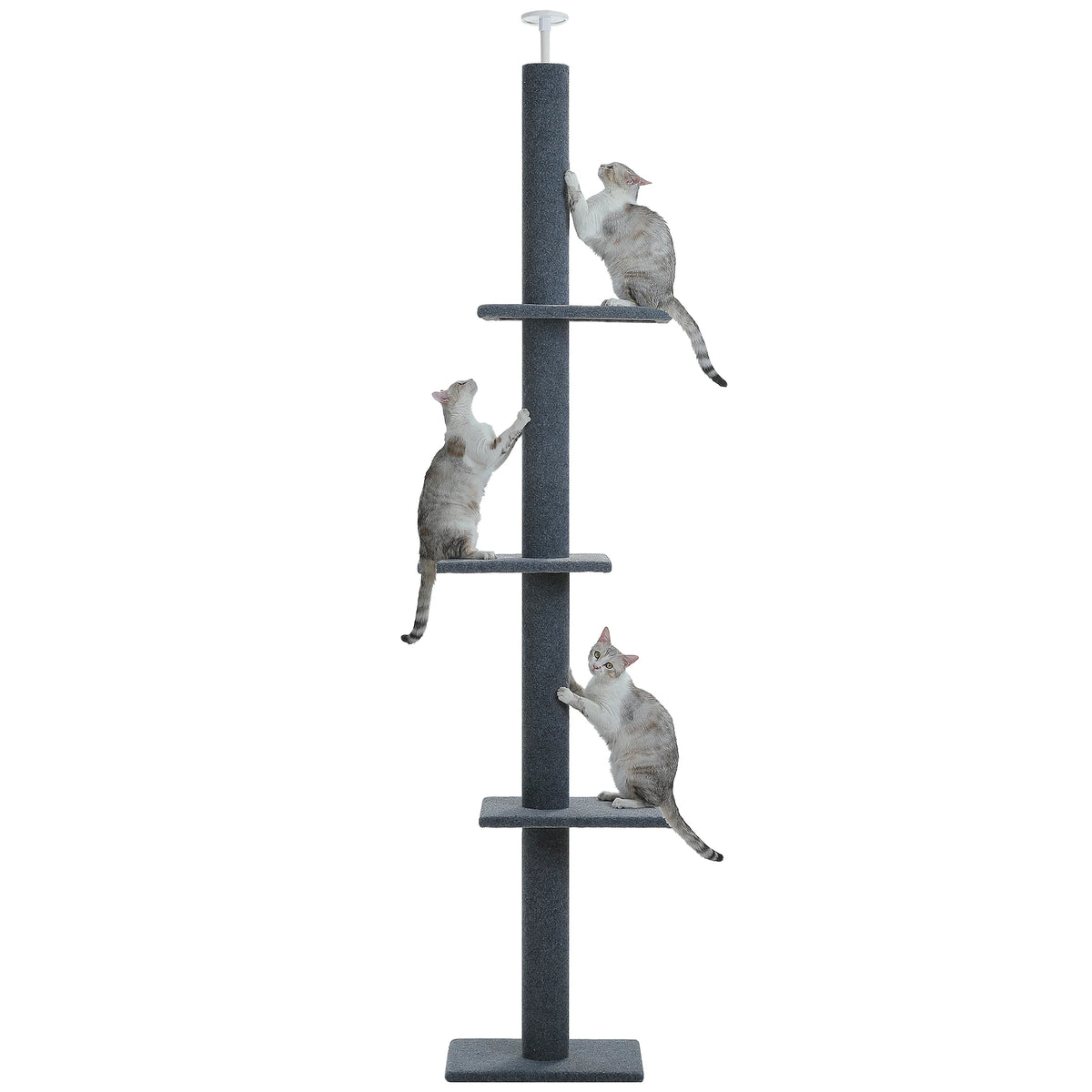 Arbre à Chat Plafond "Le Gratte-Ciel" - Ajustable (228-273cm) & Sans Perçage