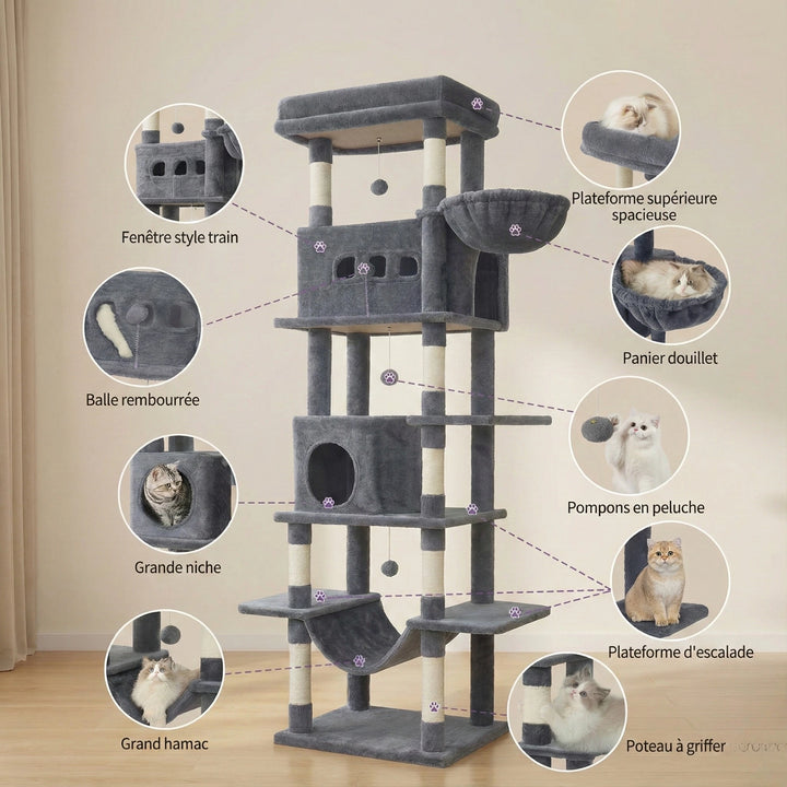 Arbre à Chat XXL pour Maine Coon & Multi-Chats 210 cm