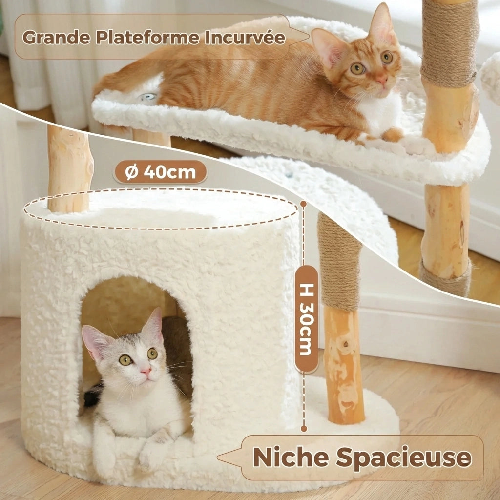 Arbre à Chat Bois & Rotin 102 cm "Le Naturaliste" - Tronc Véritable & Panier Tressé